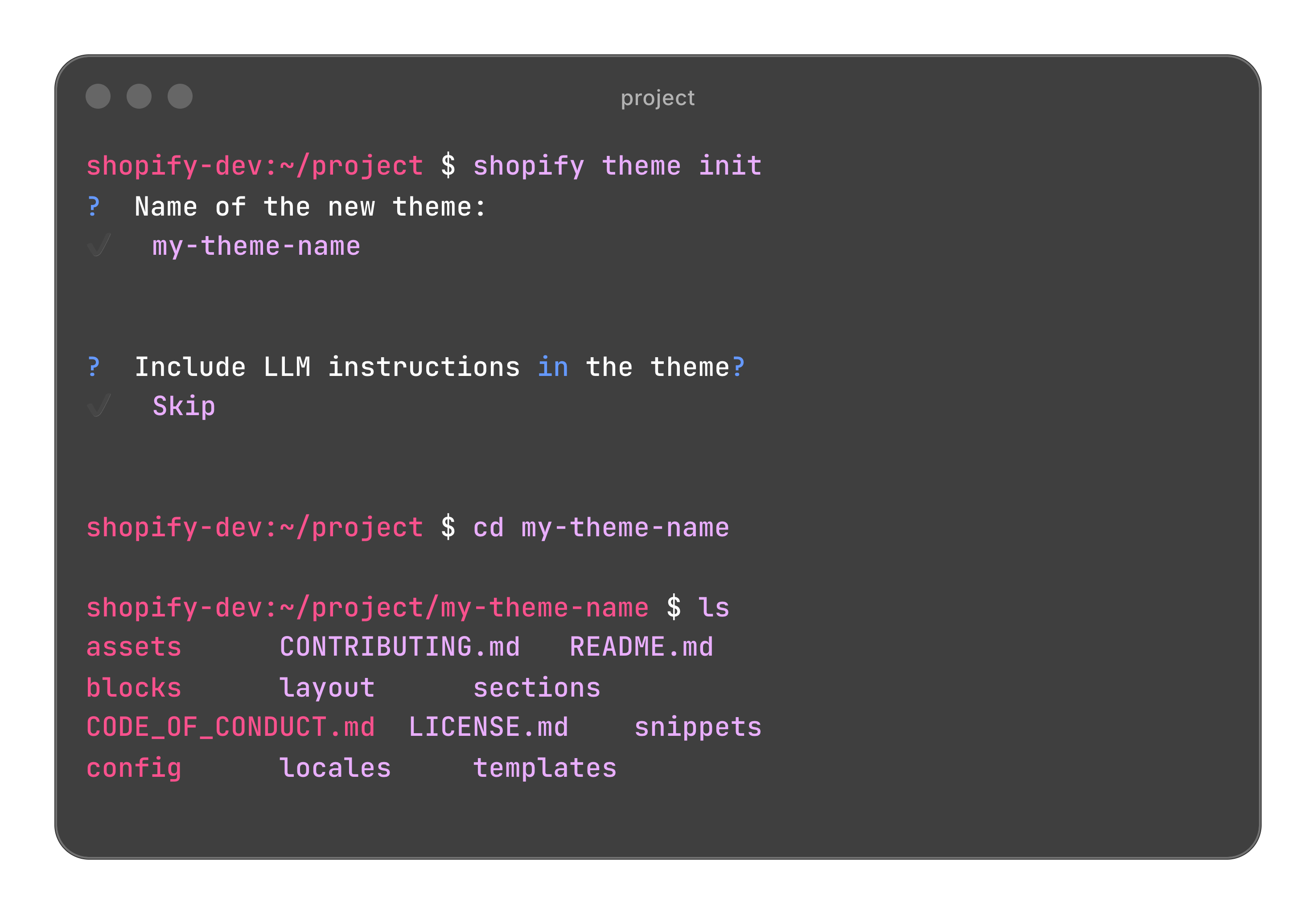 Terminal image of Shopify theme init