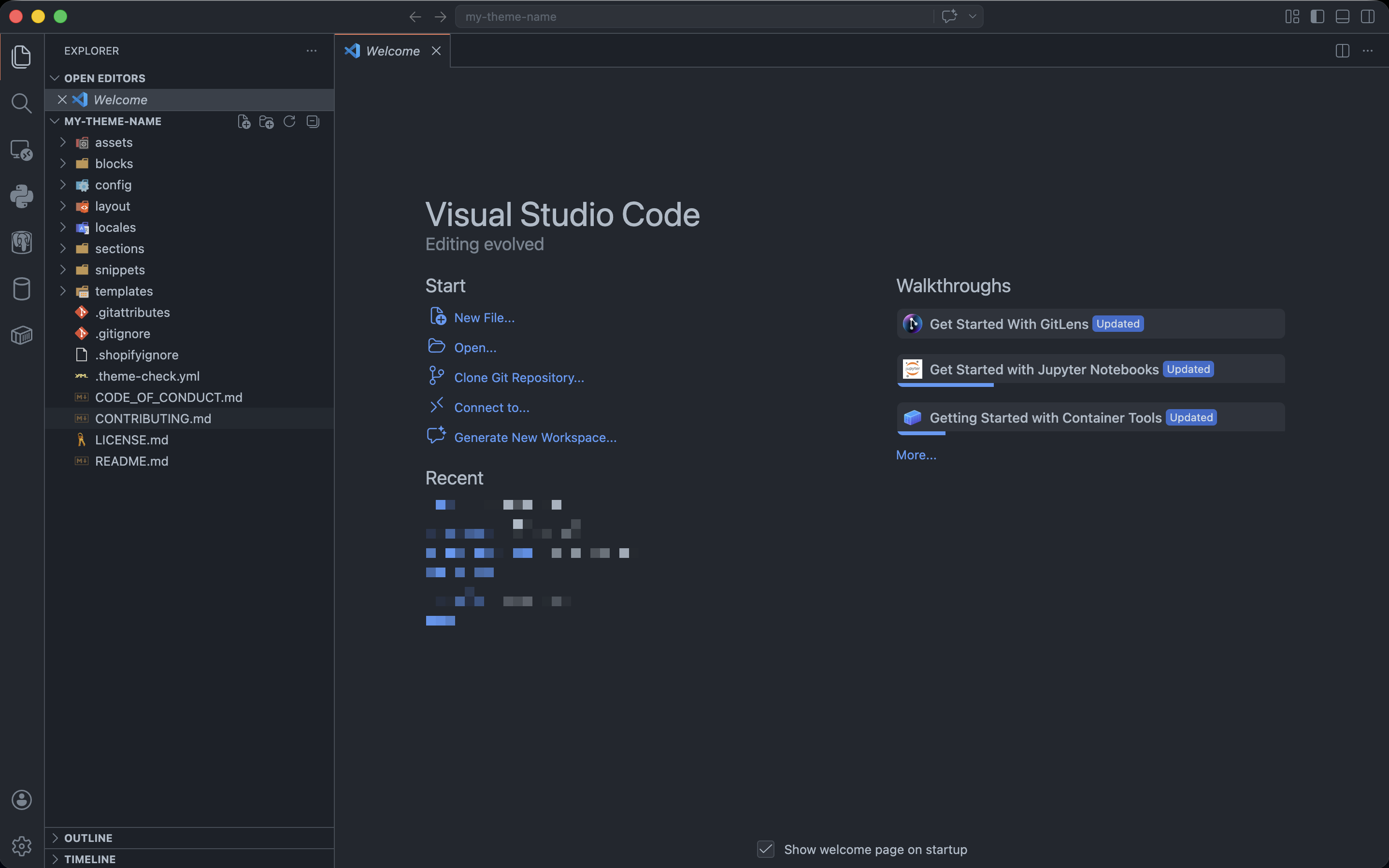 VS Code with a Shopify theme open